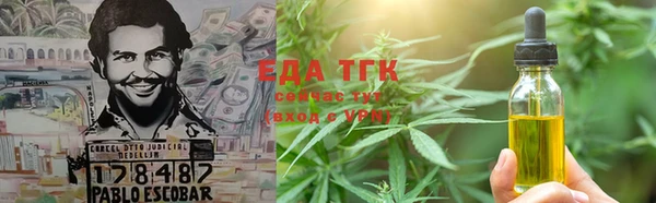 индика Володарск