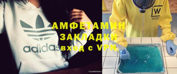 индика Володарск