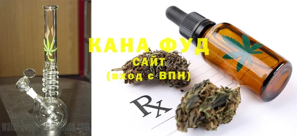 индика Володарск