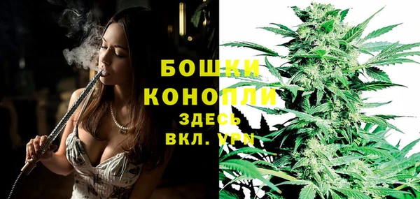 индика Володарск