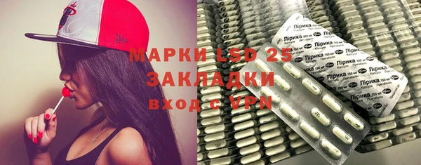 индика Володарск