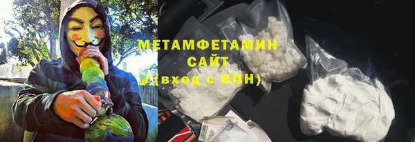 индика Володарск